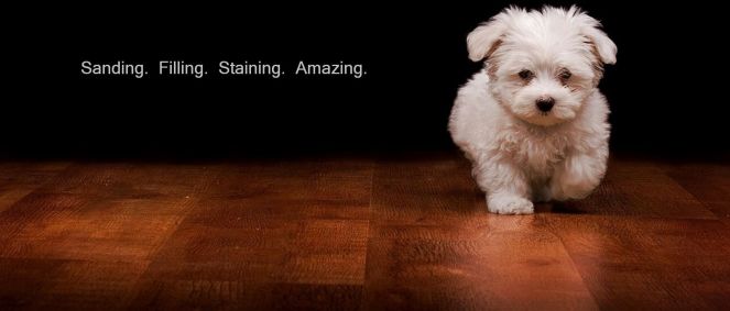 dog-on-hardwood-floor-homepage-with-dialogue